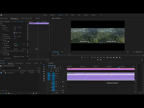 Make your Speed ramp smooth in Adobe Premiere Pro