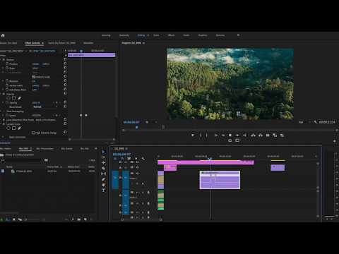 Create a Speed ramp in Adobe Premiere Pro
