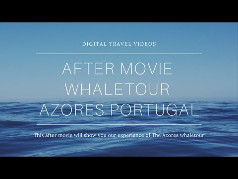 Aftermovie Dolphin Tour Azores Portugal