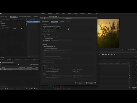 Interpreting Footage in Adobe Premiere Pro