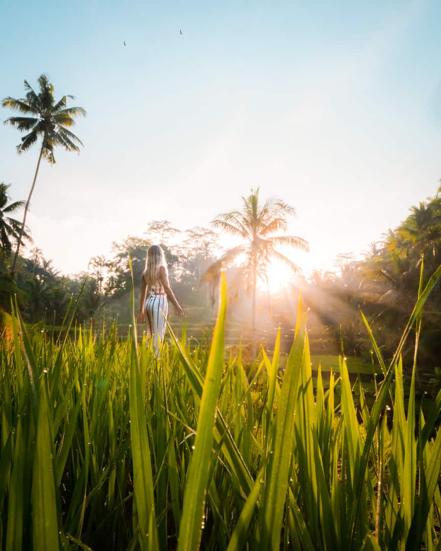 Bali-best-sunrise-spots-tegallalang-ricefields
