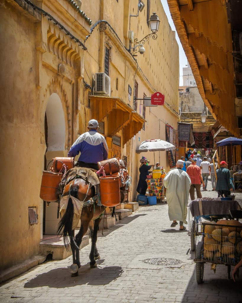 Morocco-Fes-medina-donkey
