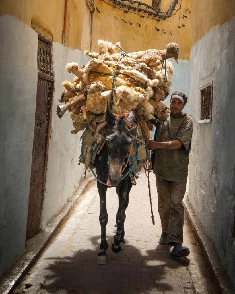 Morocco-Fes-medina-donkey-leather