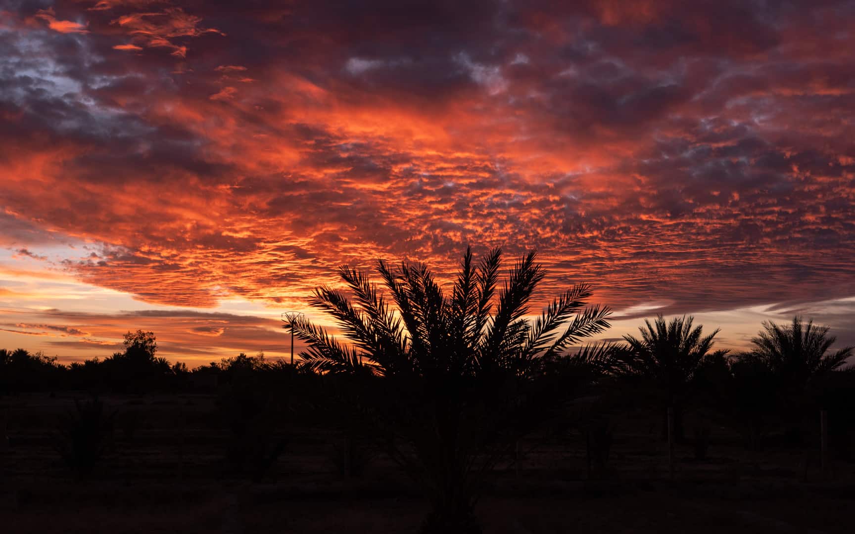 Morocco-xaluca-review-sunset-kasbah