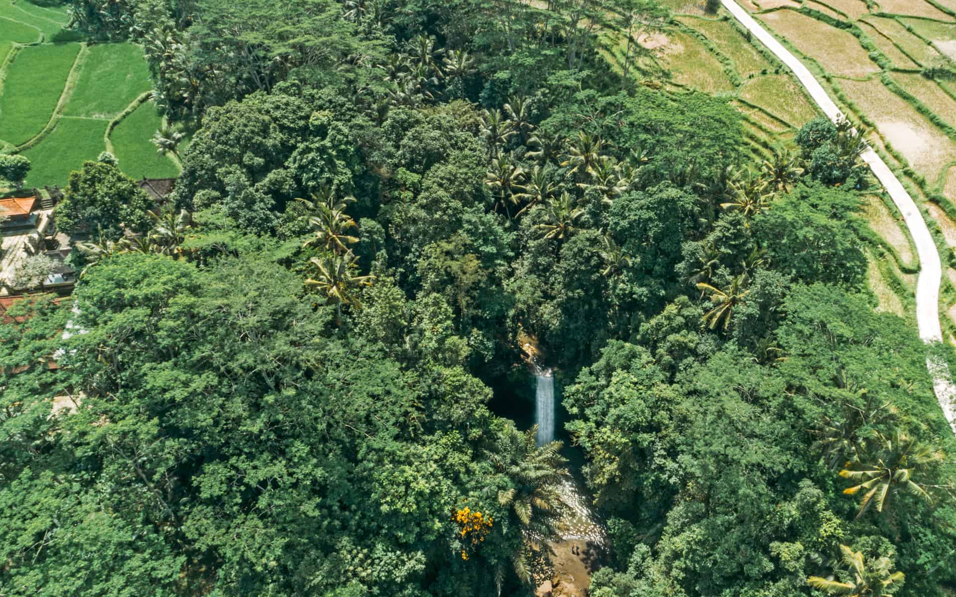 tibumana-waterfall-bali-overview