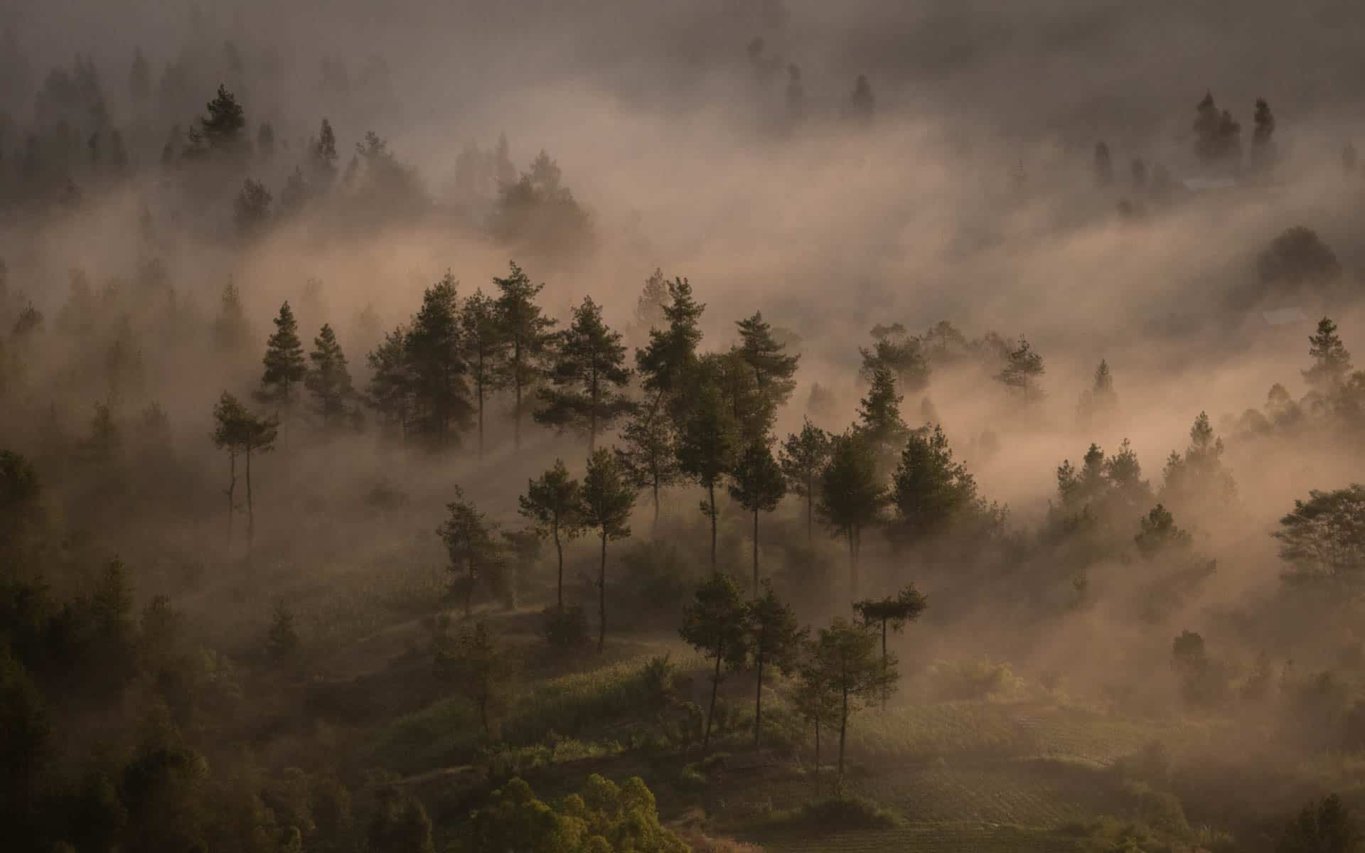 Mount-Batur-sunrise-forest-lightrays