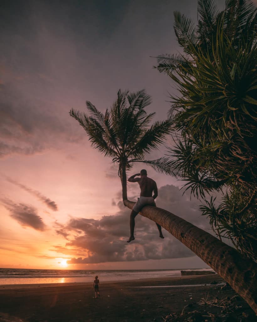 sunset-pasut-beach-palmtree