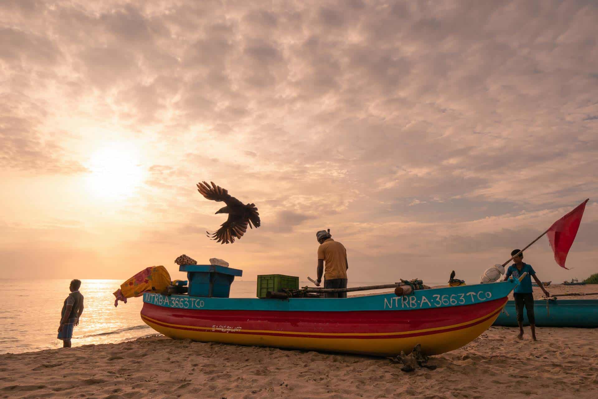Trincomalee-sunrise-fisherman