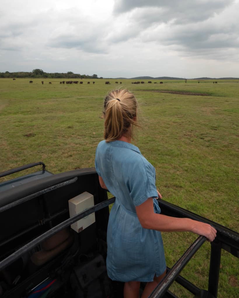 safari-jeep-wild-elephants