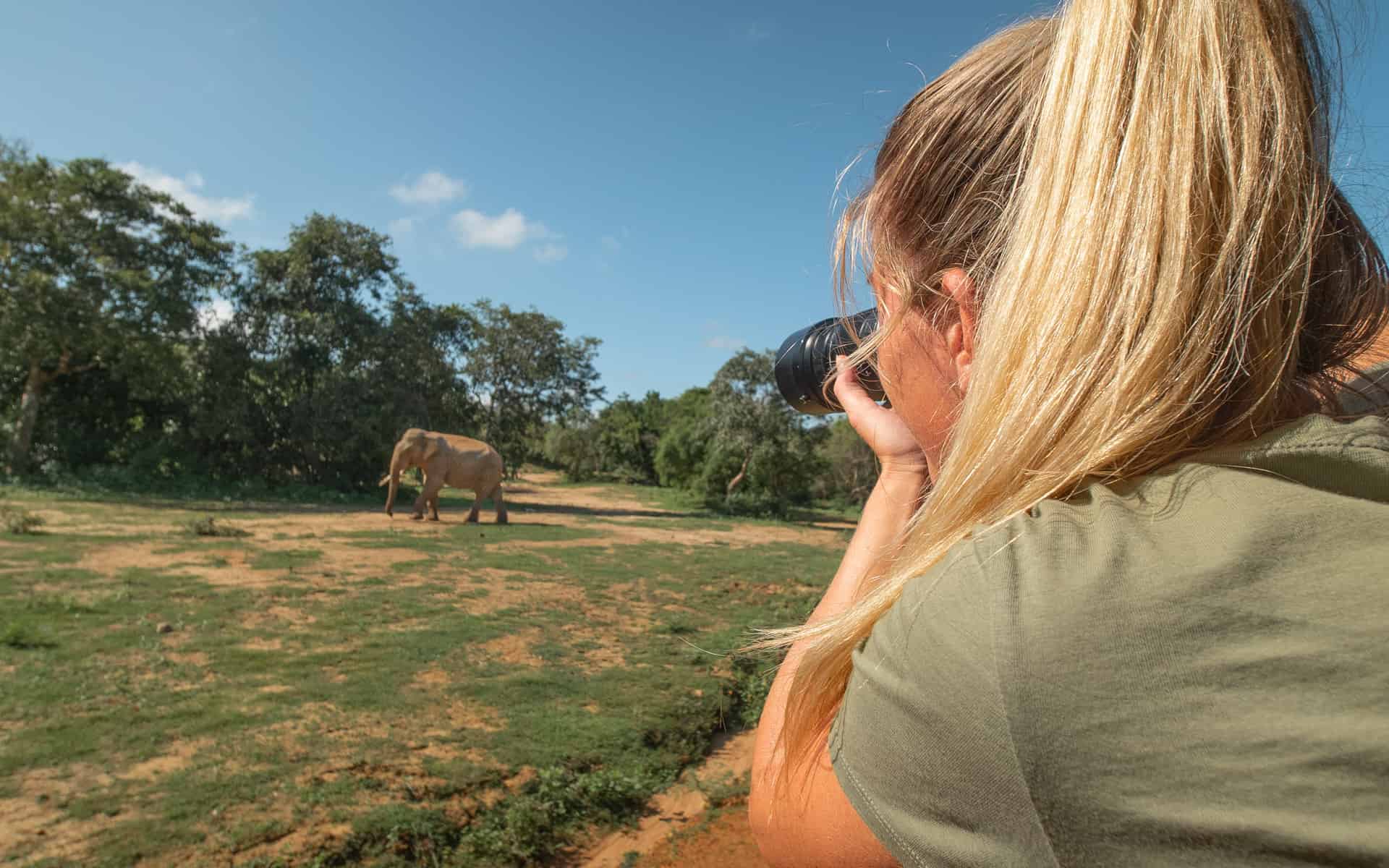 safari-sri-lanka-elephant-photographing
