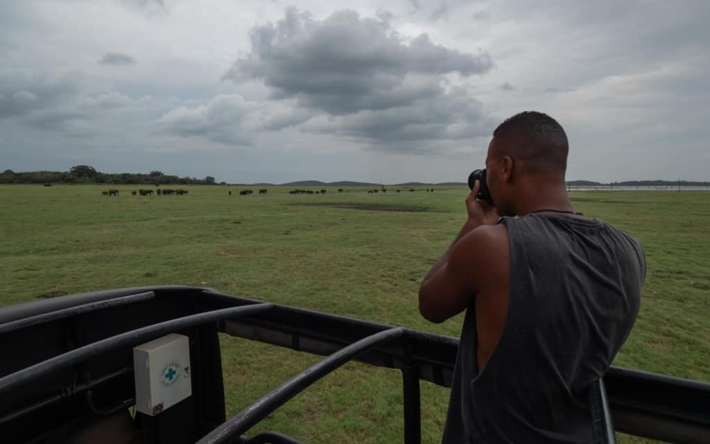 safari-sri-lanka-kaudulla-herd-elephants-photographing