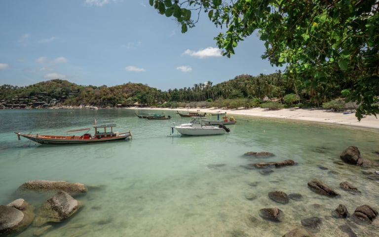 SHARK BAY KOH TAO – The Complete Guide