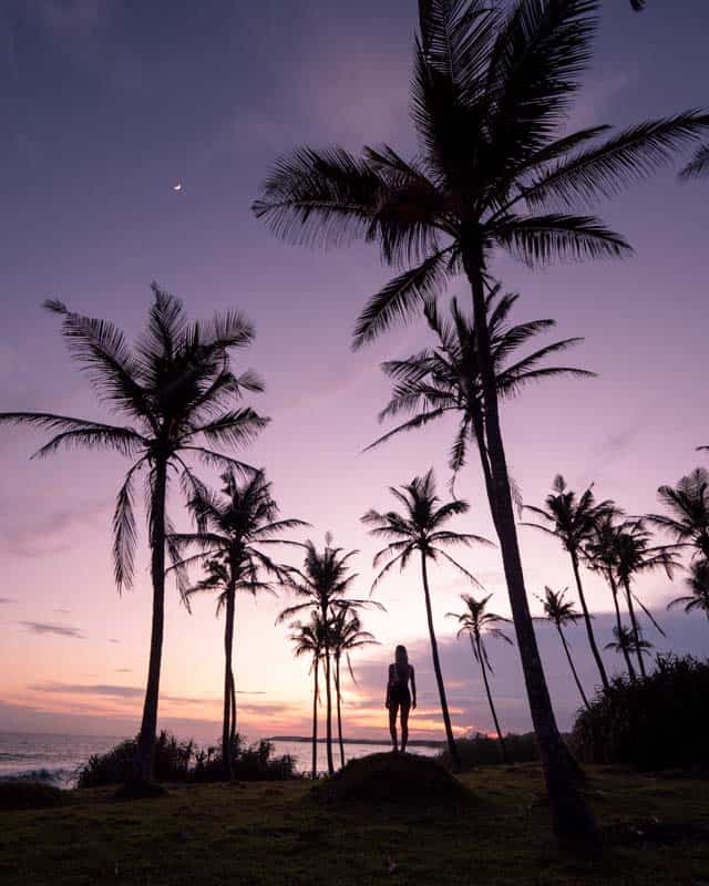 hiriketiya-dikwella-beach-sunset-palmtrees