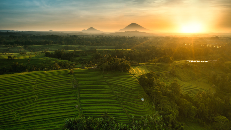 JATILUWIH RICE TERRACES BALI – The Complete Guide