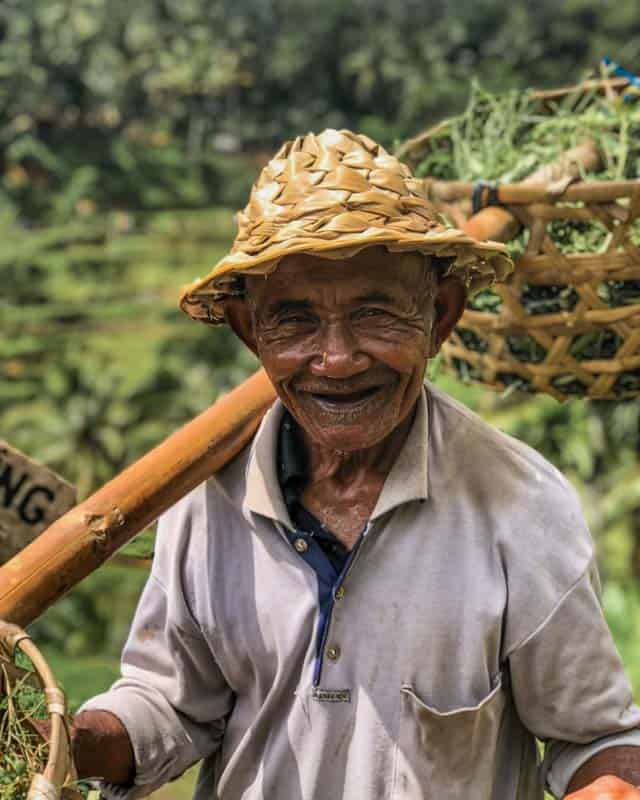 portrait-rice-farmer