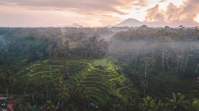 TEGALALANG RICE TERRACE UBUD – The Complete Guide