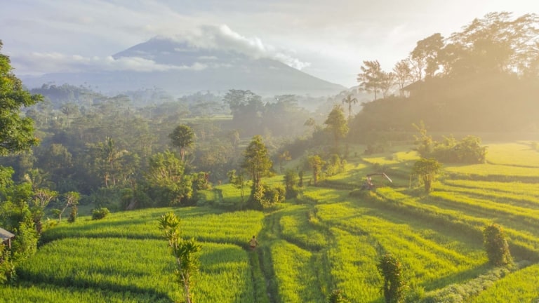 BALI RICE FIELDS BLOG – The 11 Best Rice Fields in Bali