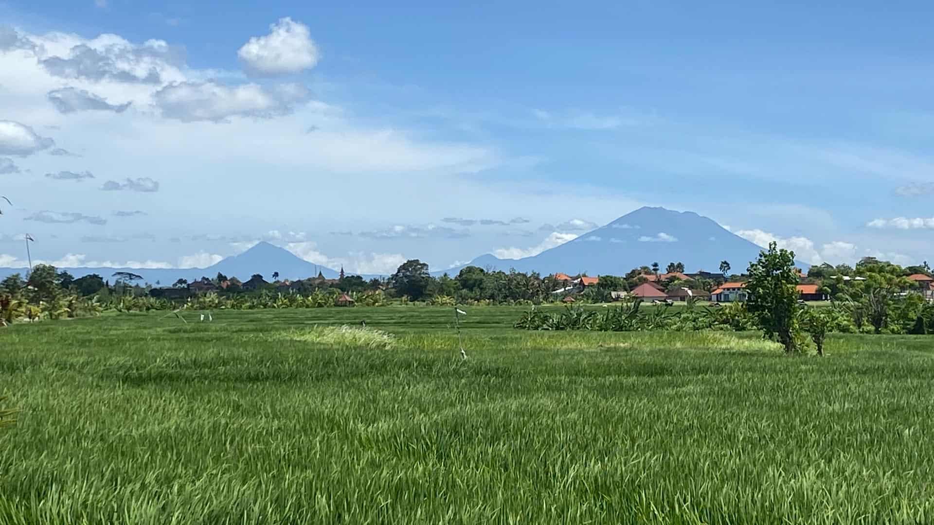bali-rice-fields-canggu