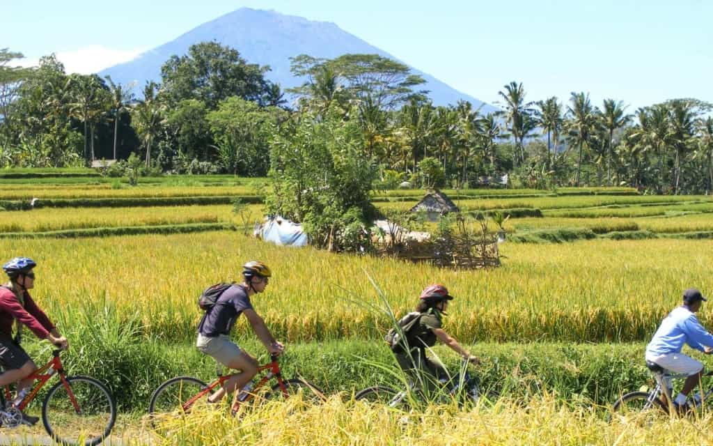 cycling-ricefields-volcano