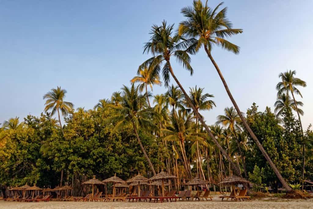ngapali-beach-myanmar-palmtrees