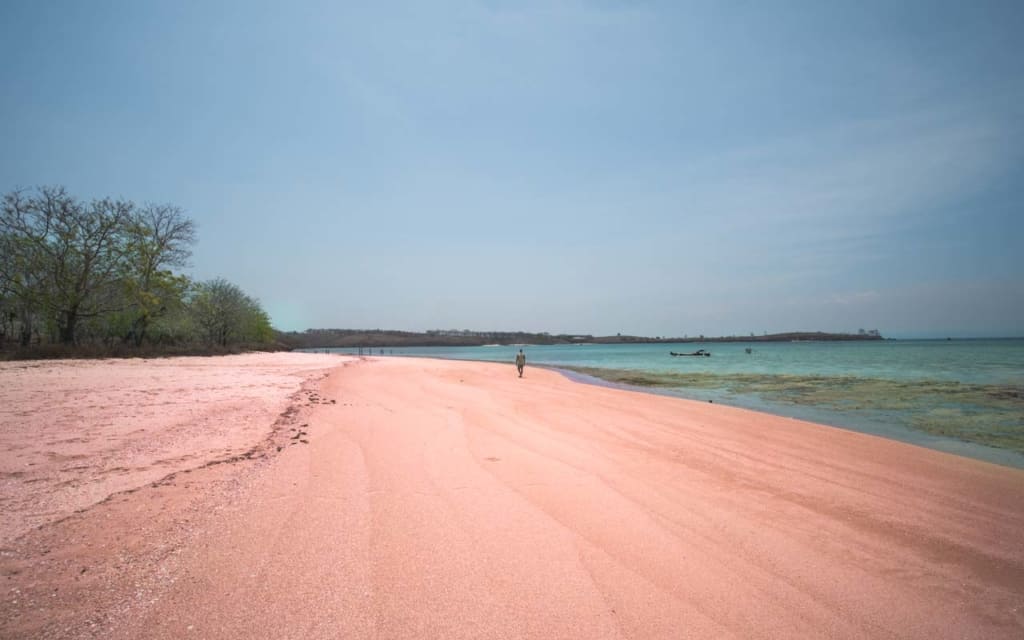 pink-beach-lombok-walk