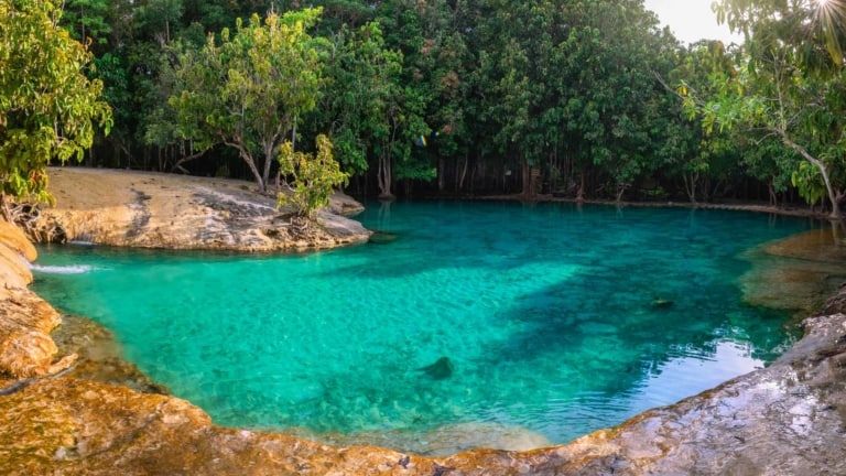Emerald Pool Krabi & Krabi Hot Springs – Why You Must Visit!