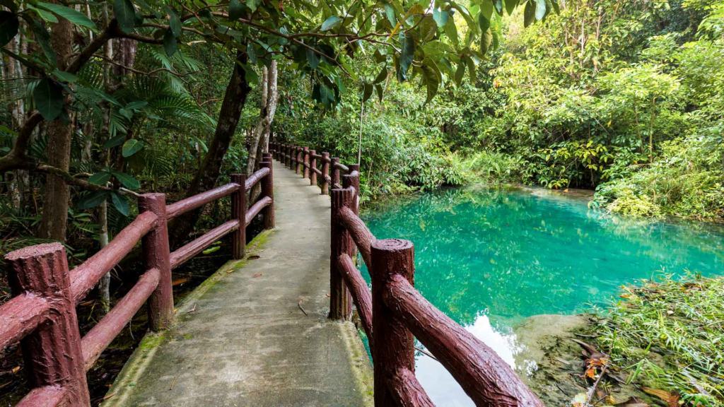 emerald-pool-krabi-path