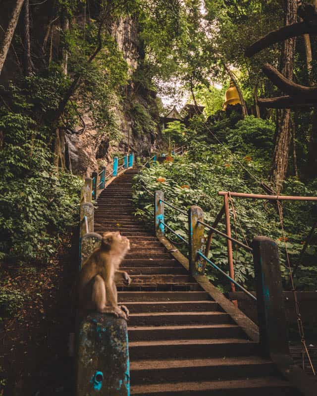 stairs-tiger-cave-temple