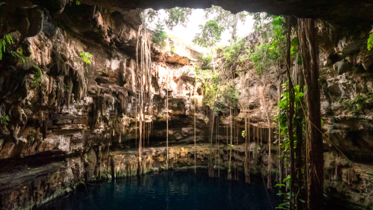 Cenote Oxman, Valladolid: Things you need to know in 2023