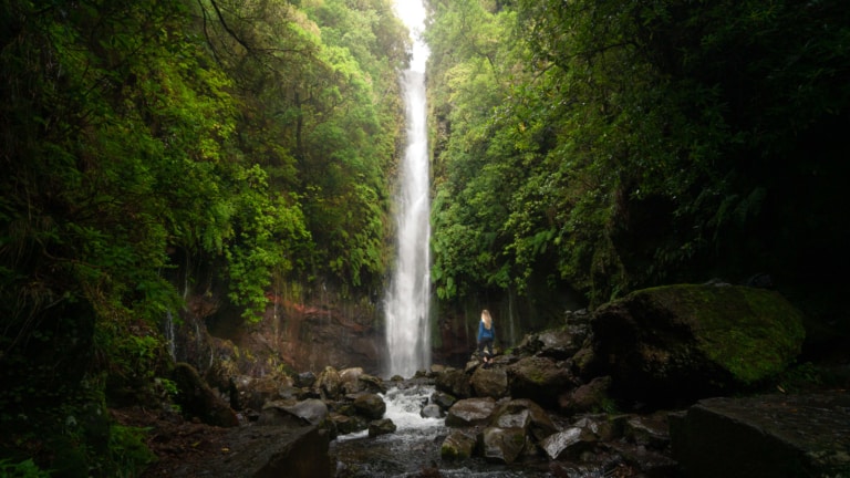 Beautiful Levada Das 25 Fontes Hike & Risco Waterfall in Madeira