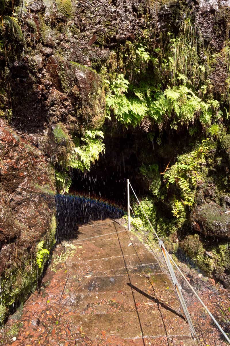 levada-faja-do-rodrigues-tunnel-rainbow