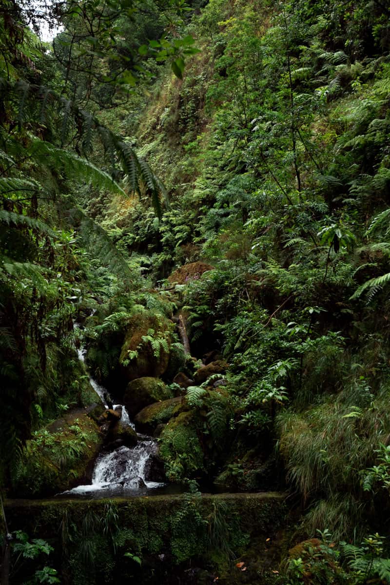 levada-faja-do-rodrigues-waterfall-stream