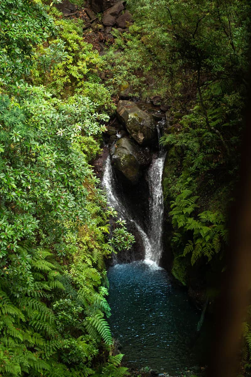 levada-faja-do-rodrigues-waterfall