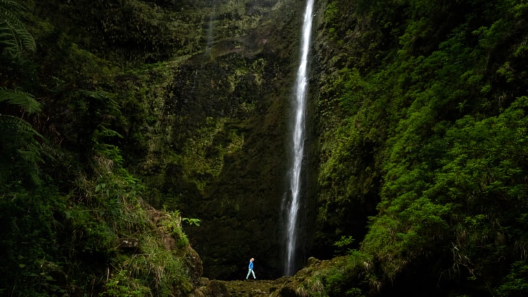 Beautiful Levada Do Caldeirão Verde hike (PR9) on Madeira