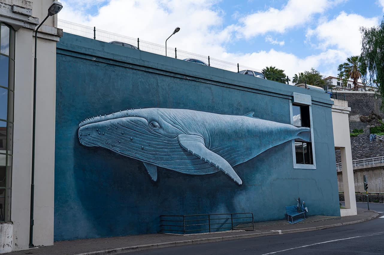whale-streetart-funchal