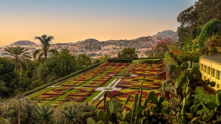 Botanical Gardens Madeira – All You Need To Know
