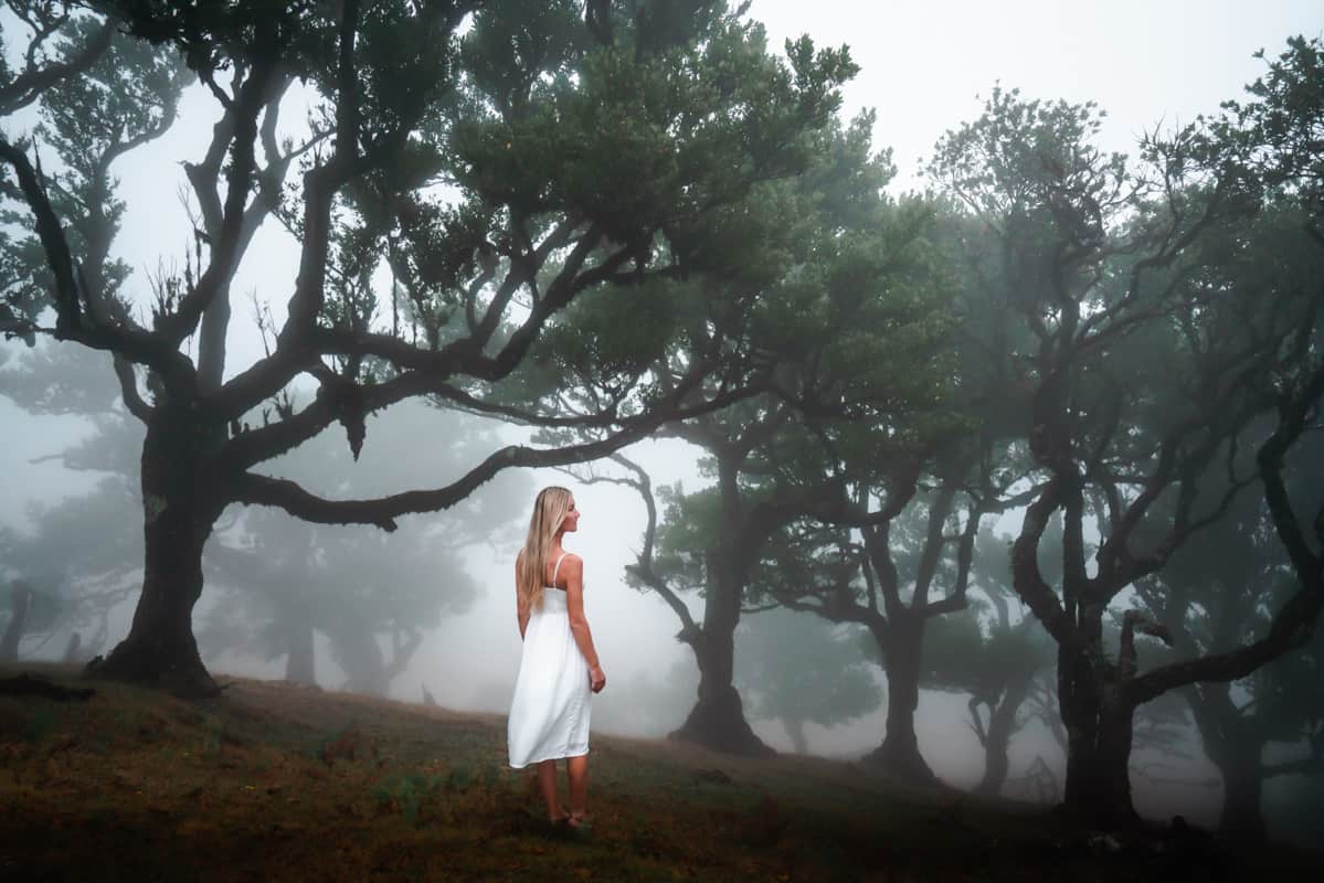 ilse-fanal-foggy-forest