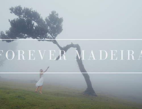 FOREVER MADEIRA 4K – Travel Film Madeira Island