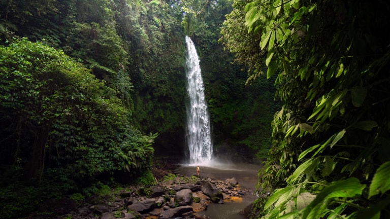 NUNGNUNG WATERFALL BALI – The Complete Guide