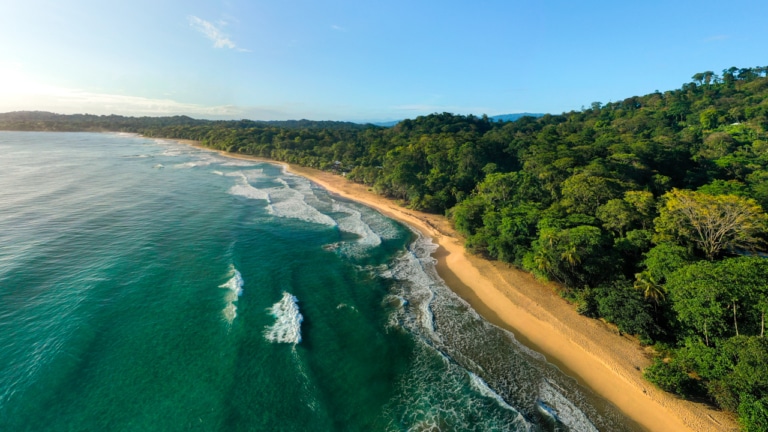 PLAYA COCLES IN PUERTO VIEJO, COSTA RICA – A Complete Guide