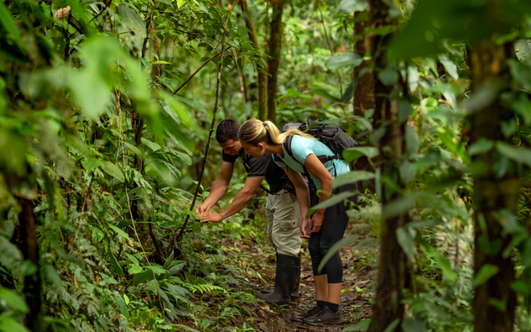 COSTA RICA HIKING GUIDE – 20 Best Hikes in Costa Rica
