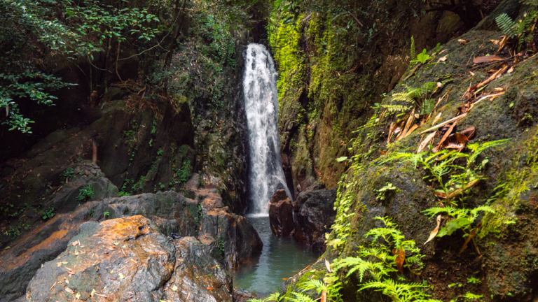 4 BEST PHUKET WATERFALLS – The Complete Guide