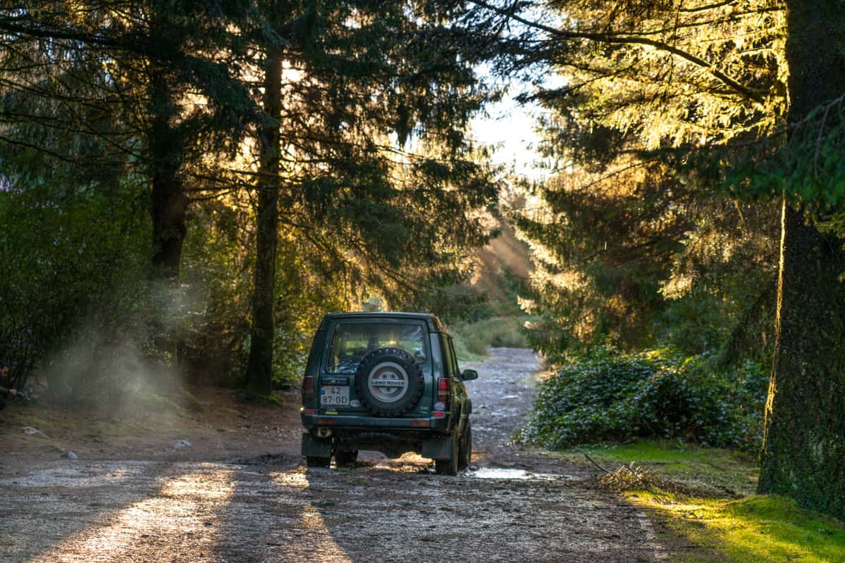 jeep-madeira-forest