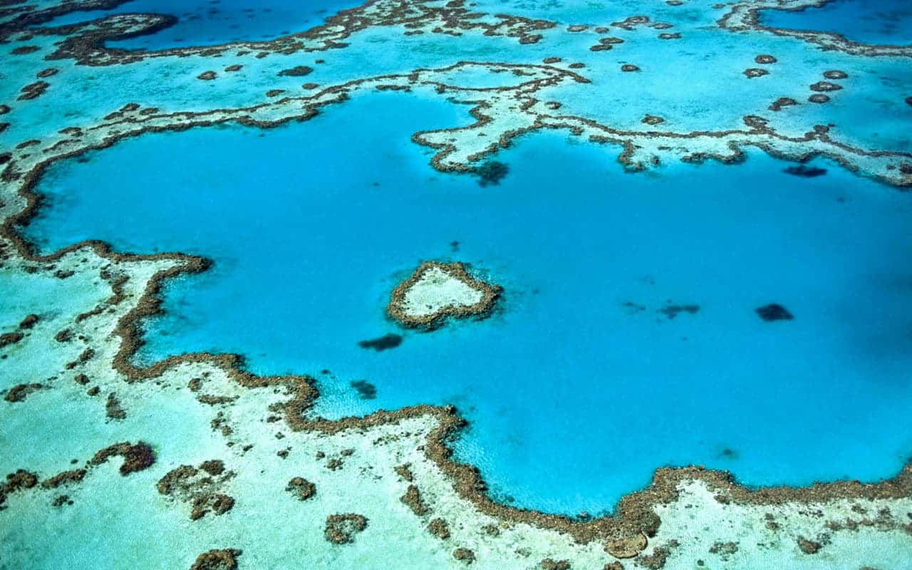 great-barrier-reef-helicopter-flight