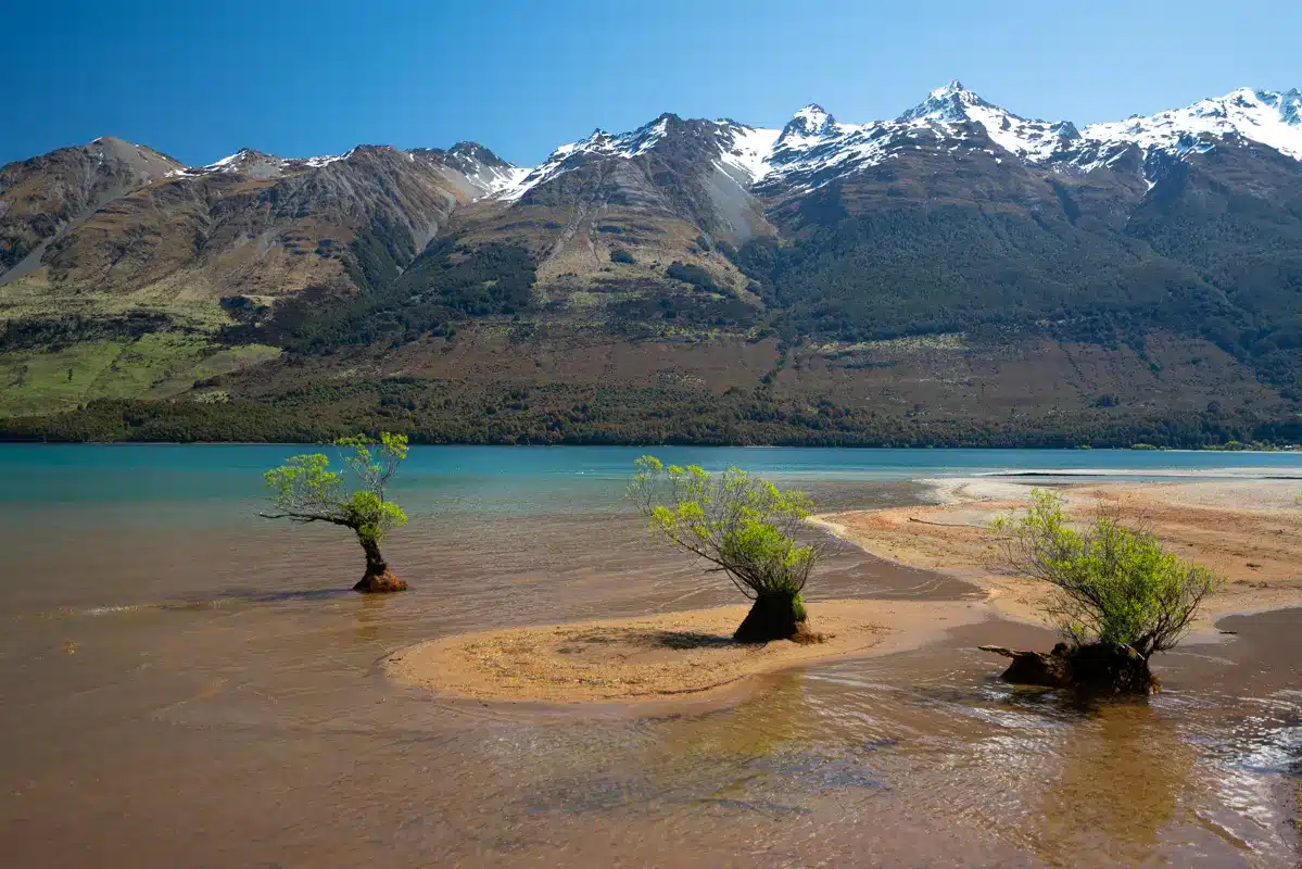 glenorchy-mangrove-trees-mountainview