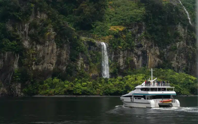 BEST MILFORD SOUND CRUISE – Best tours, best time & more!