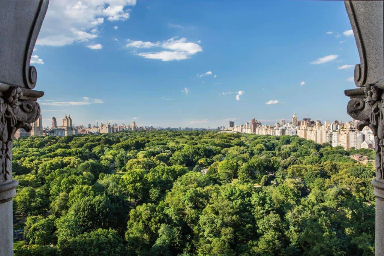 The Ritz-Carlton New York, Central Park view