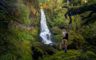 Waipohatu-waterfall-walk