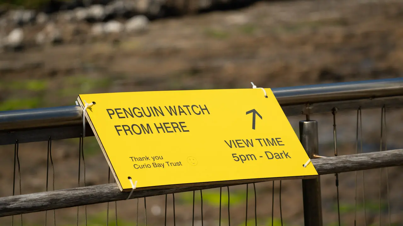 penguin-watch