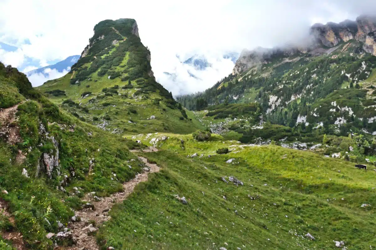 hikingtrail-in-austria